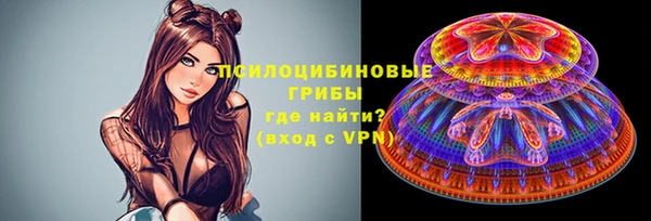 эйфоретик Белокуриха