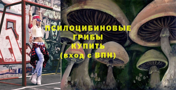 прущий лед Белоозёрский