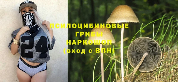 дживик Бородино