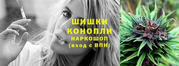 эйфоретик Белокуриха