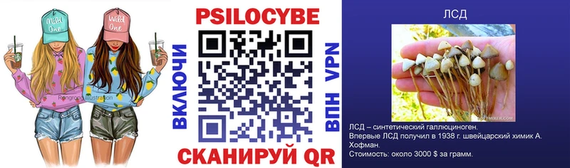 Псилоцибиновые грибы Cubensis  Купить  Сибай 